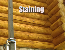  Sedley, Virginia Log Home Staining